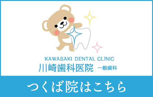 bnr_kawasaki_shika