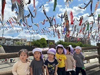 image_123650291 (27)