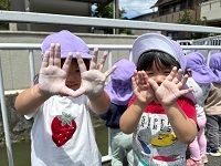 image_123650291 (44)