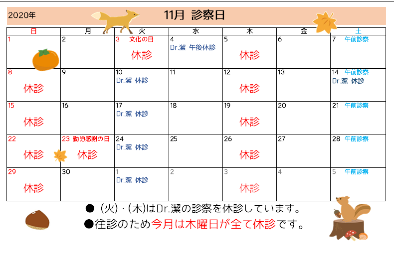 11月 診察カレンダー