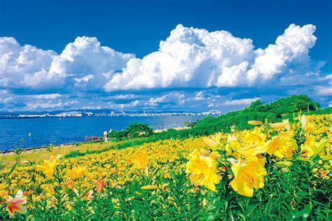 CloudwithFlowers