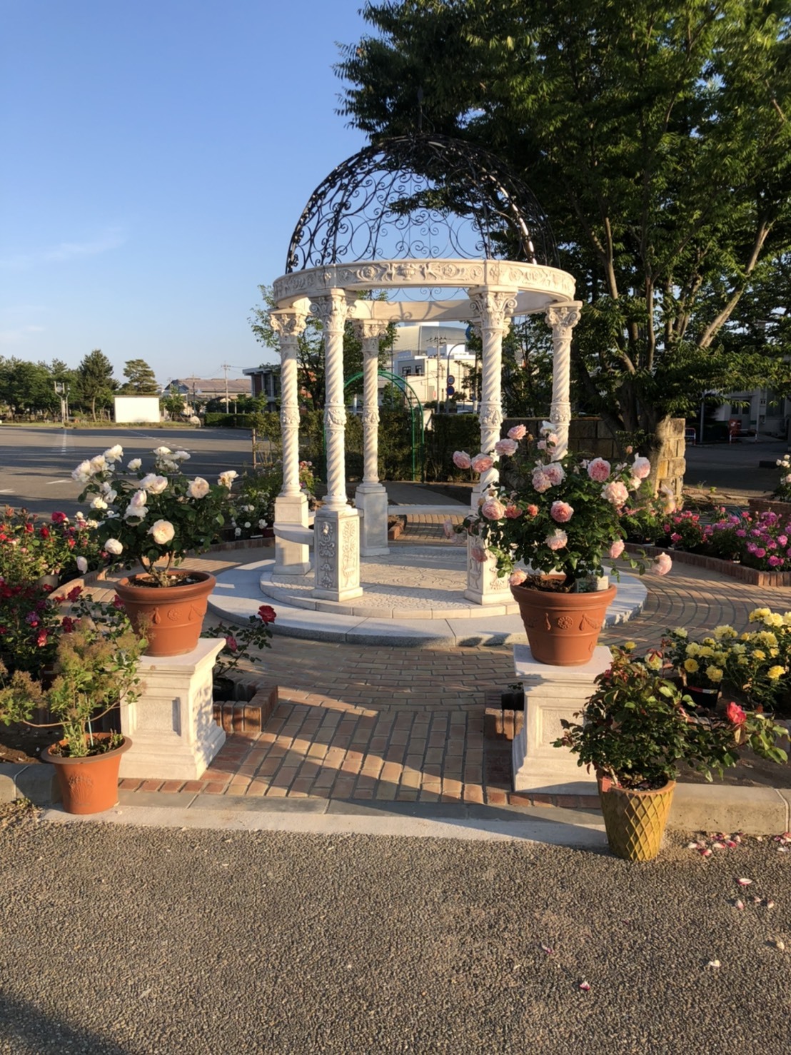 20200530_063002298_iOS