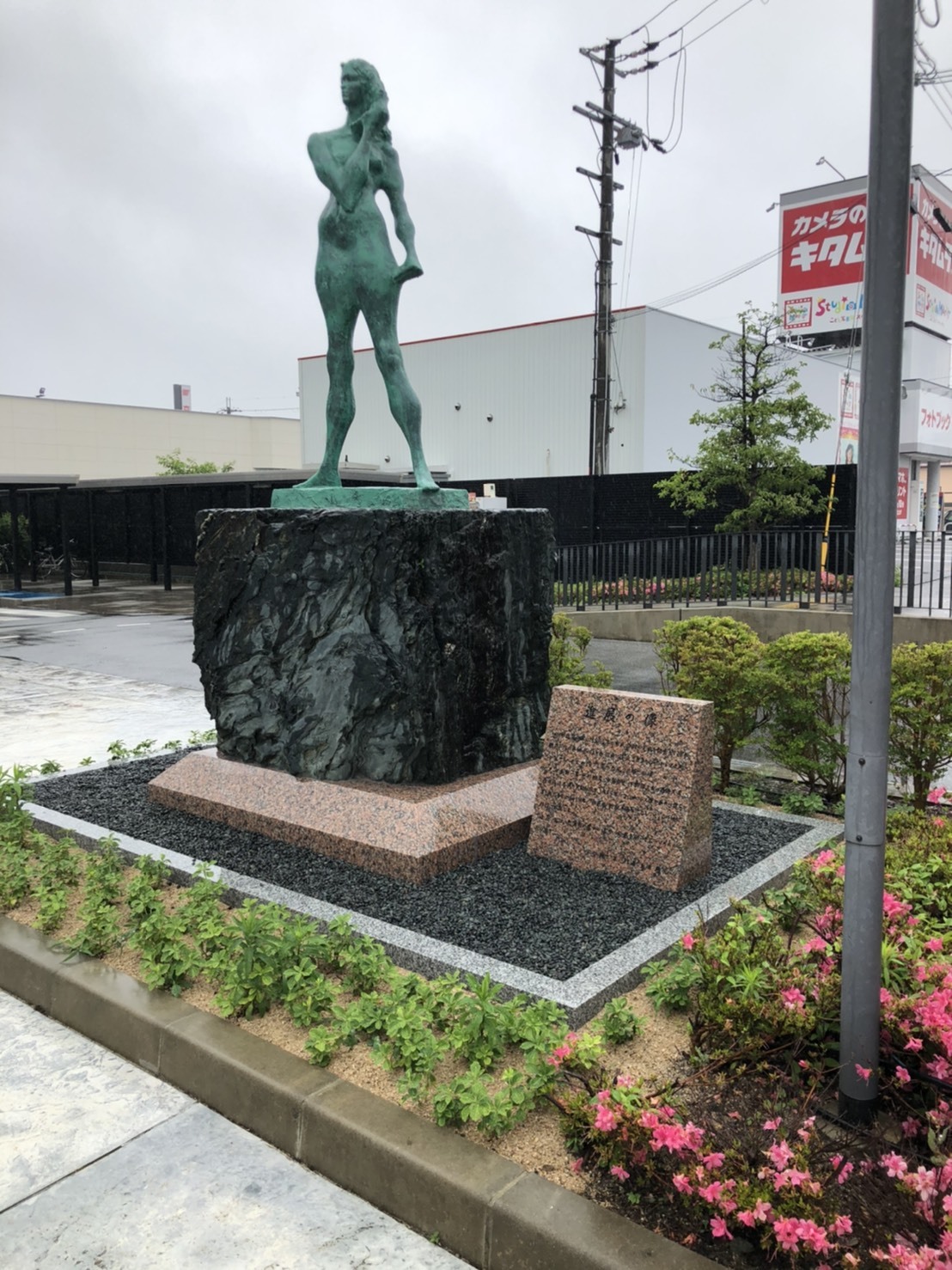 20200612_062436658_iOS