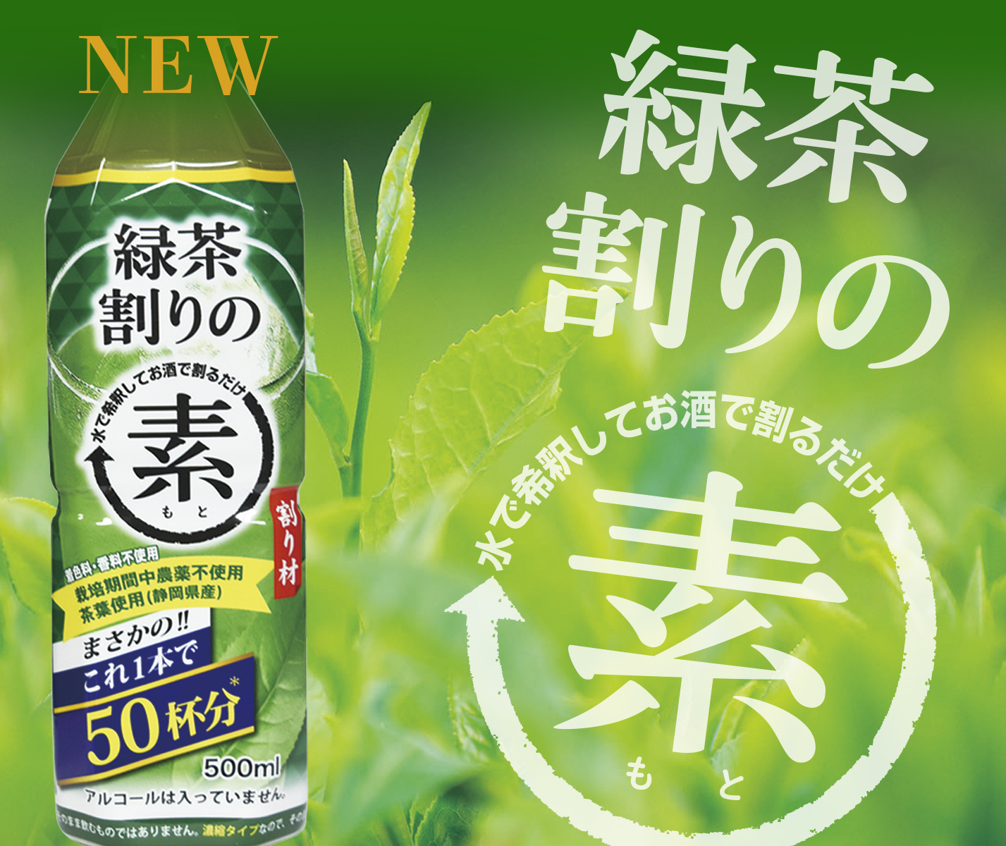 緑茶割りの素HP