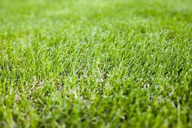 サイト案内_事務所概要