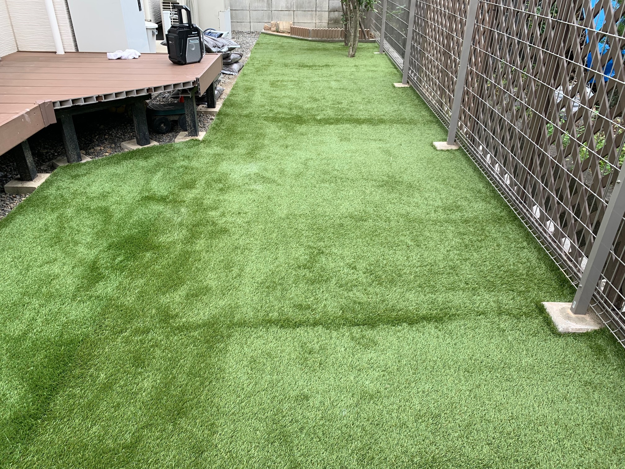 image0 (3)maruoka afutre