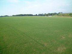 魚津桃山運動公園 運動広場