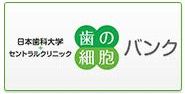 歯の細胞バンク(バナー用)