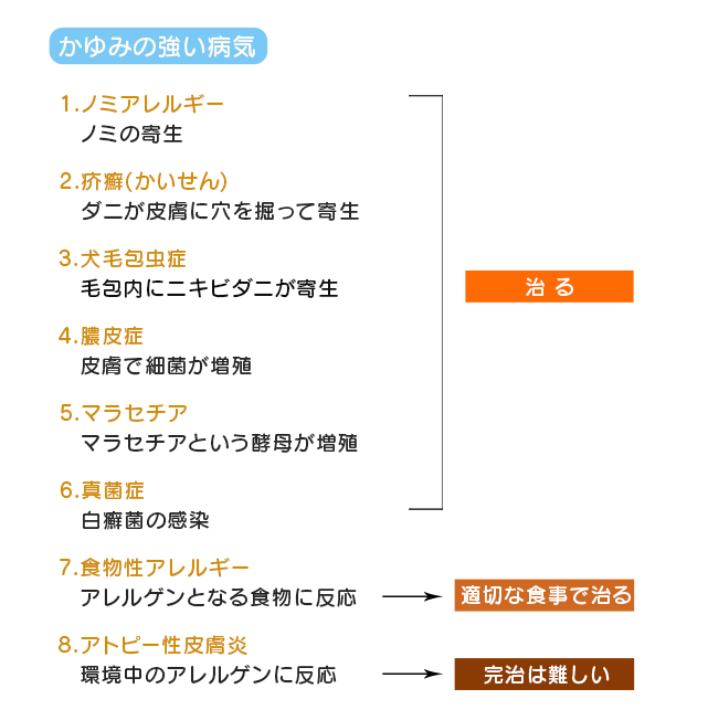 かゆみの強い病気
