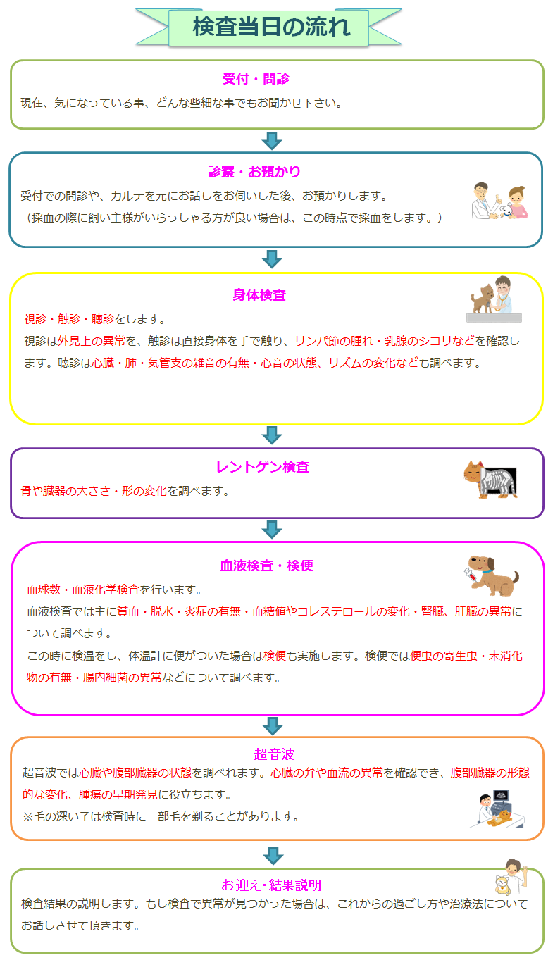 検診の流れ