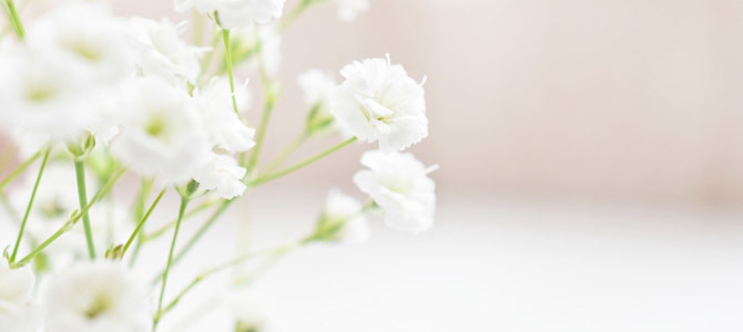 flower6
