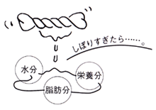 タンパク質に対する酸性・アルカリ性の作用