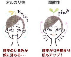 「ベル・ジュバンスは美肌をつくる」~頭と顔は陸つづき~