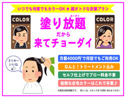 辰口塗りホーダイmini