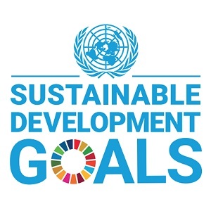 sdgs mini