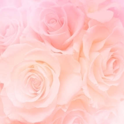 結婚相談所開業を希望される方へ