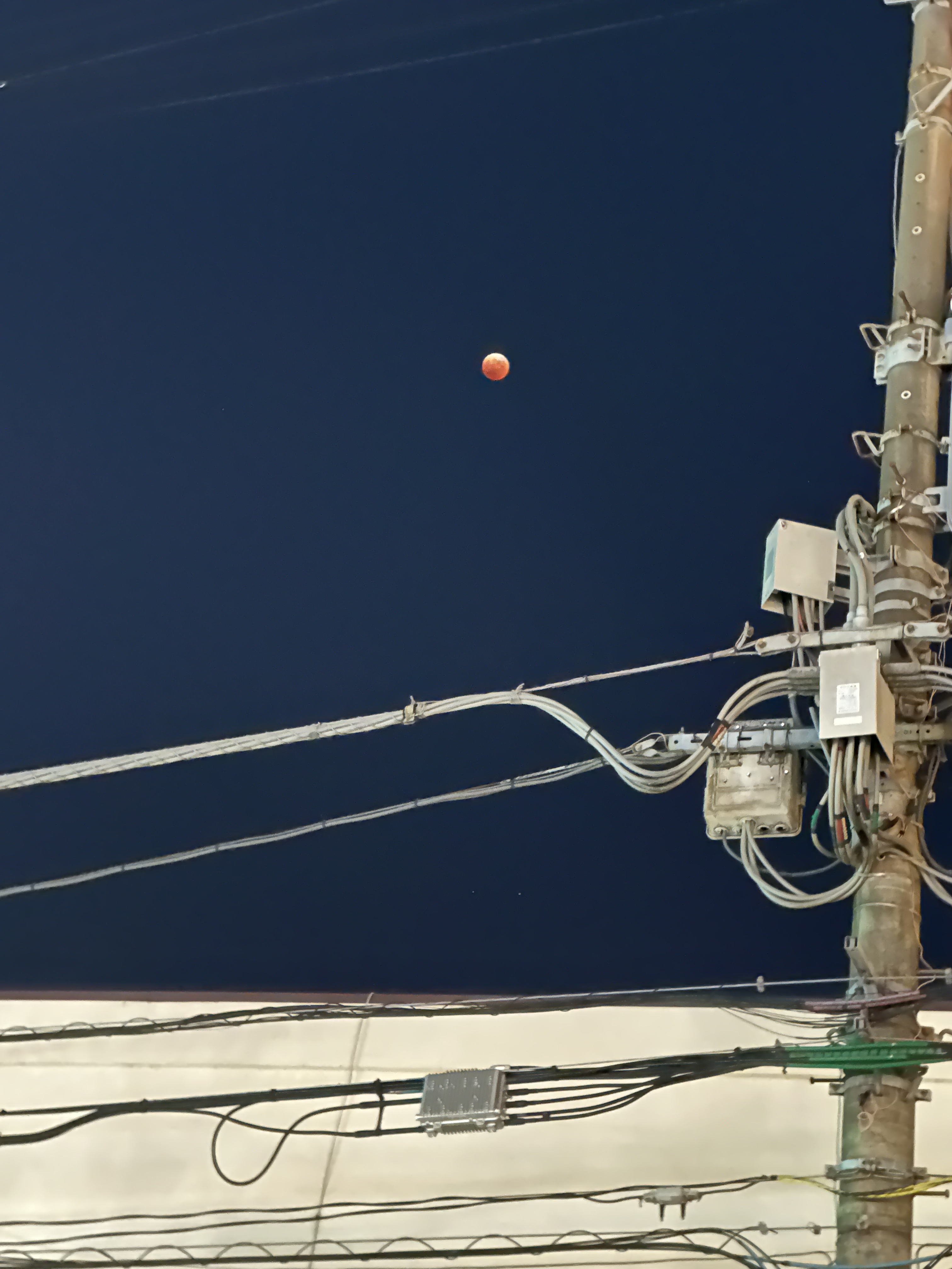 F2EB2966-A91B-4385-AAD1-81173A4E1058