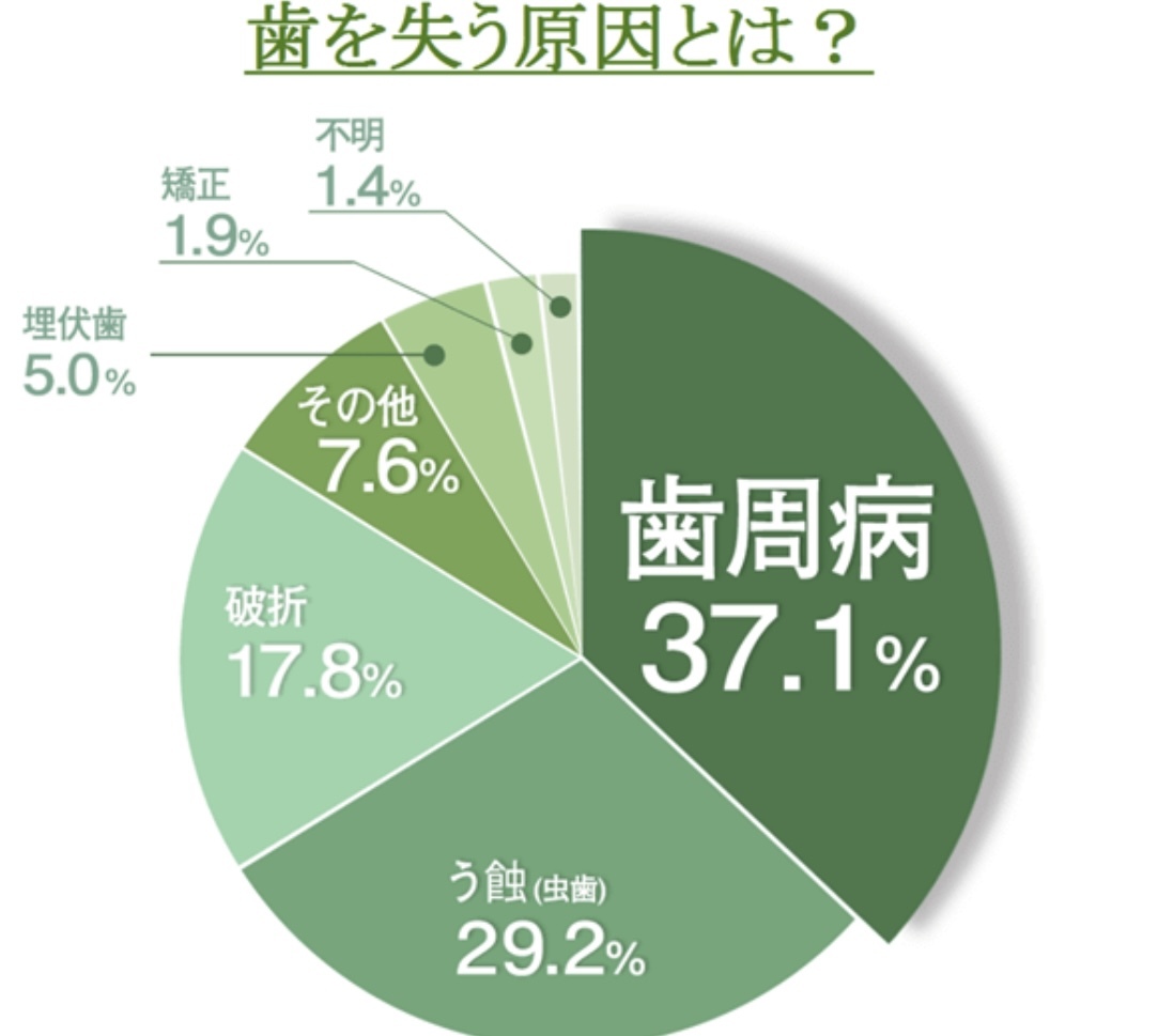 歯を失う原因の一位は歯周病