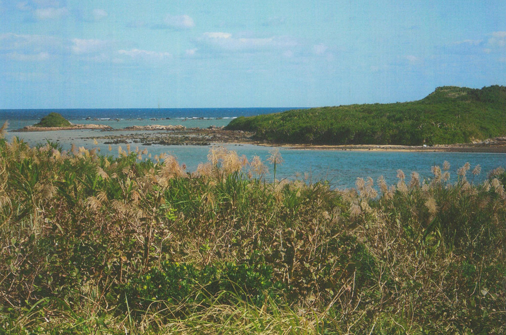 沖縄県西表島3