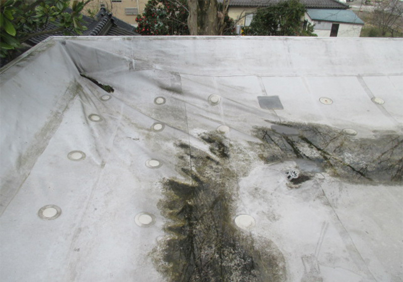 シートが経年により縮んでシワになった状態