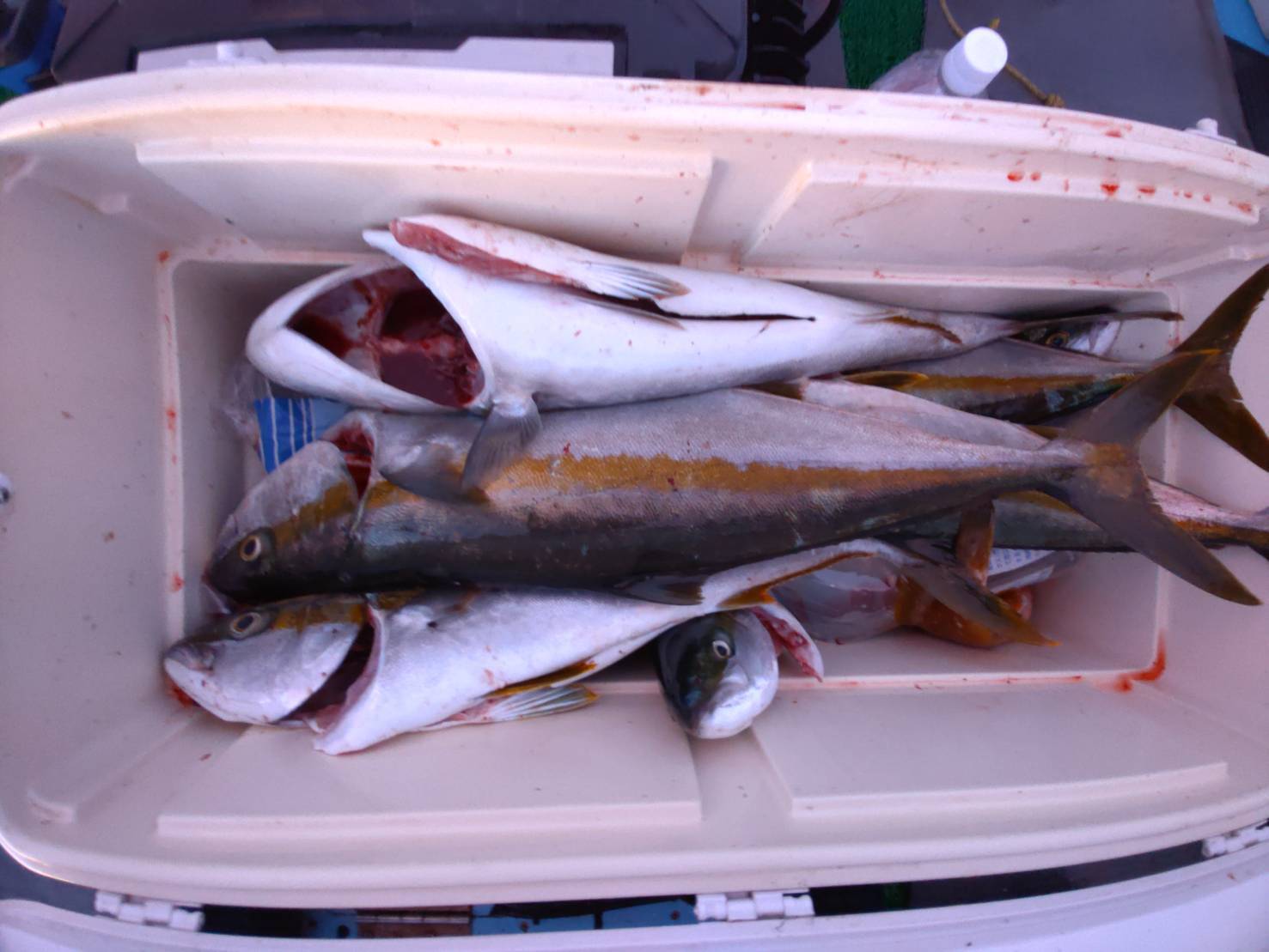 1626688758311 - コピー