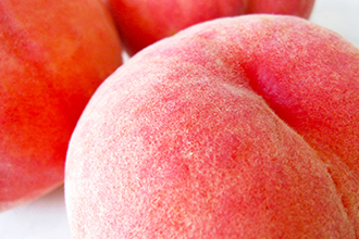 今月のおすすめ