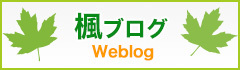 楓ブログ