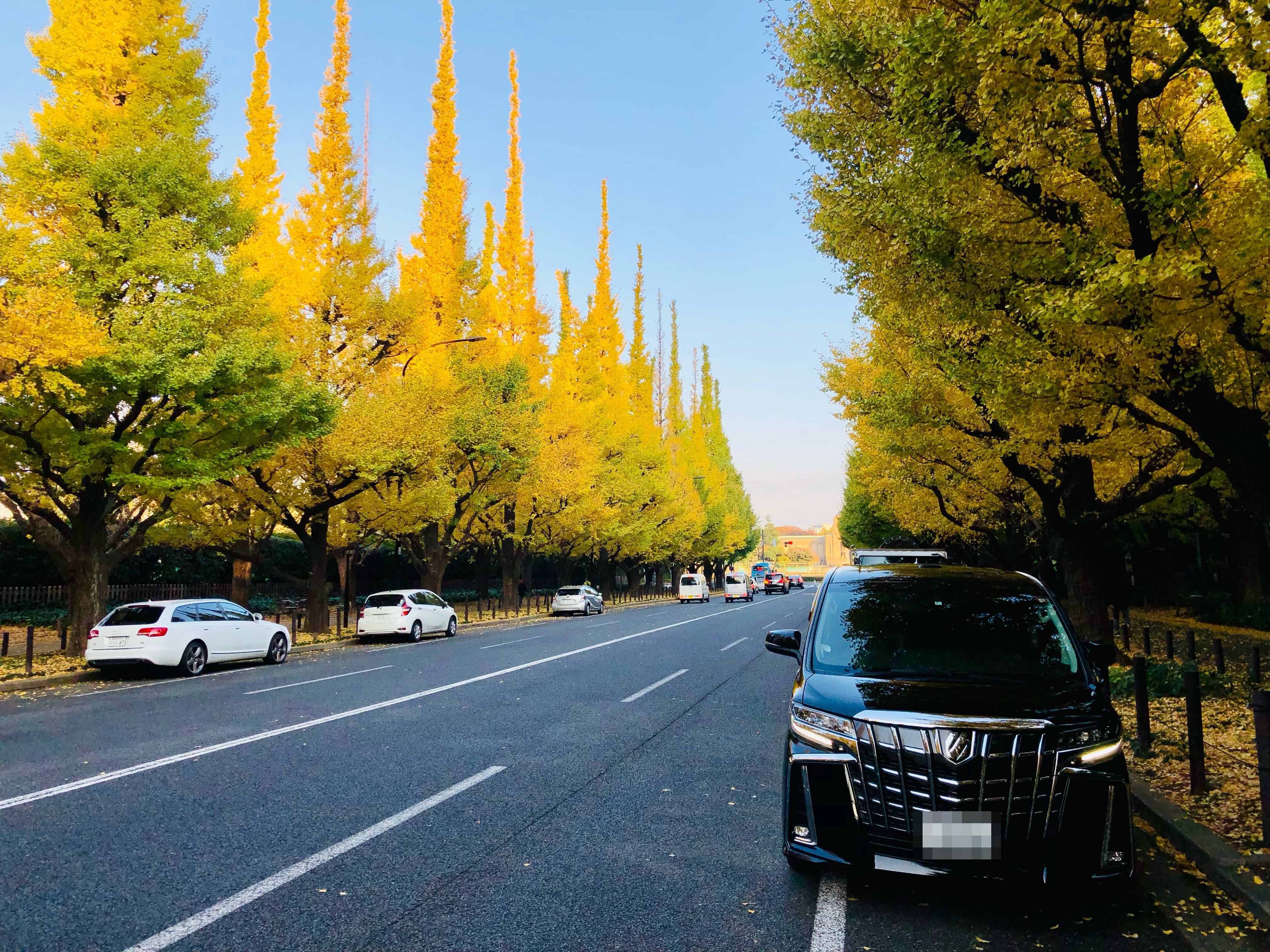 7ABF789A-30B1-4DDC-AA14-593016B76B3F_1_201_a