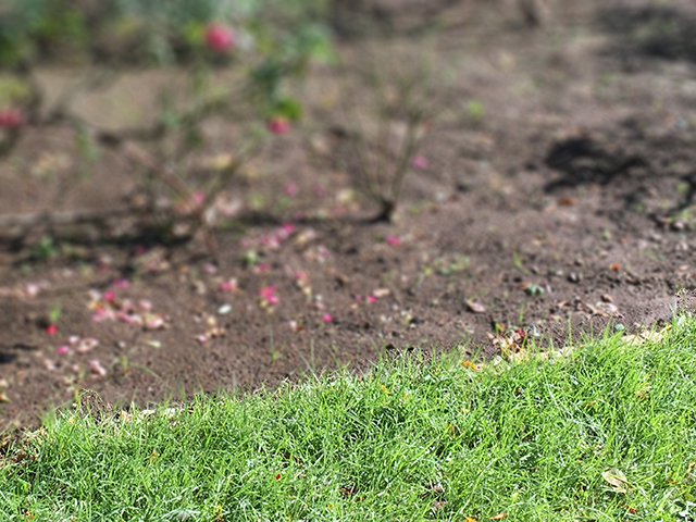 土地活用方法それぞれの魅力とは2