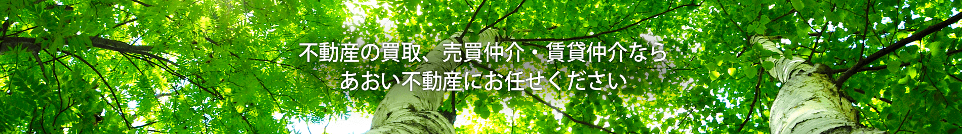 不動産の買取、売買仲介・賃貸仲介なら、あおい不動産にお任せください
