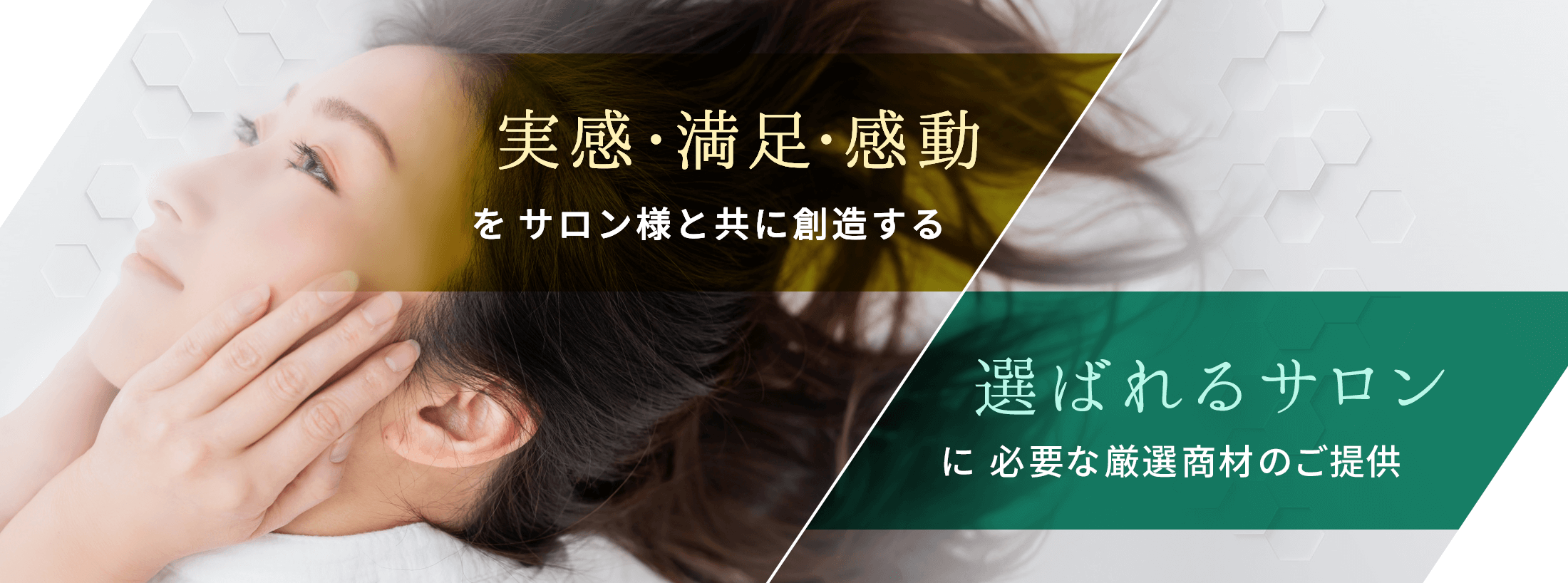 ドリエムジャパン