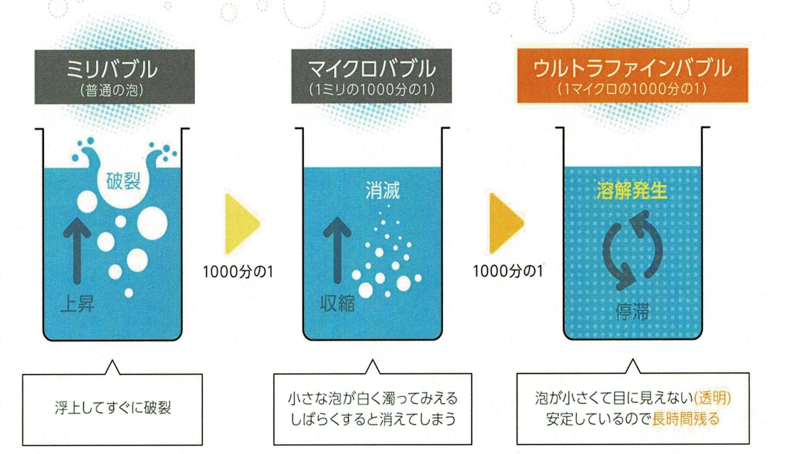 UFBとは?