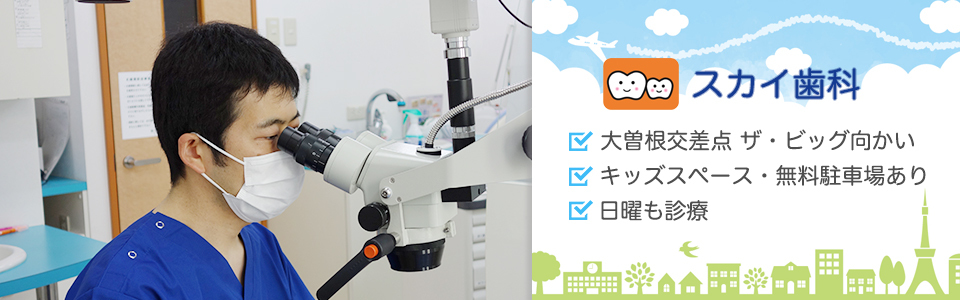 スカイ歯科|八潮市の大曽根交差点近く(048-999-4530)