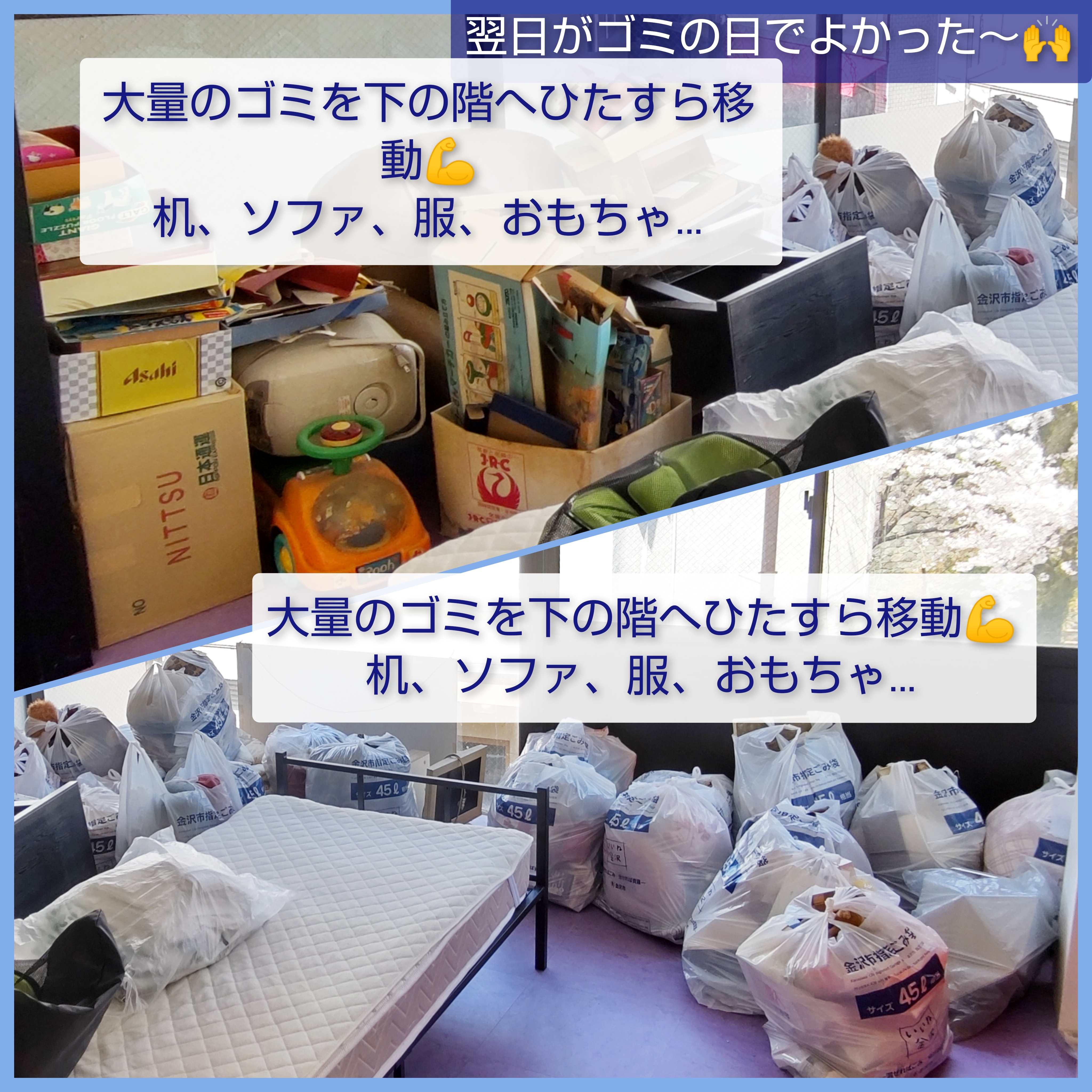 InCollage_20230331_083647531