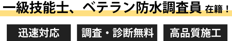 一級技能士、ベテラン防水調査員在籍!