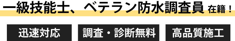 一級技能士、ベテラン防水調査員在籍！