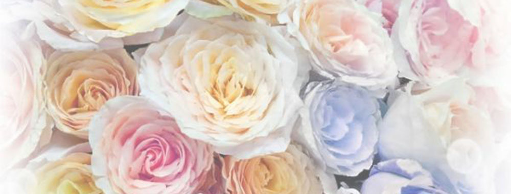 ご挨拶_グランディングフラワー