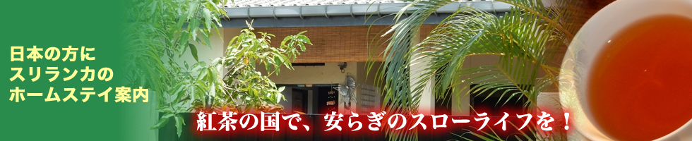スリランカ ポリンの家