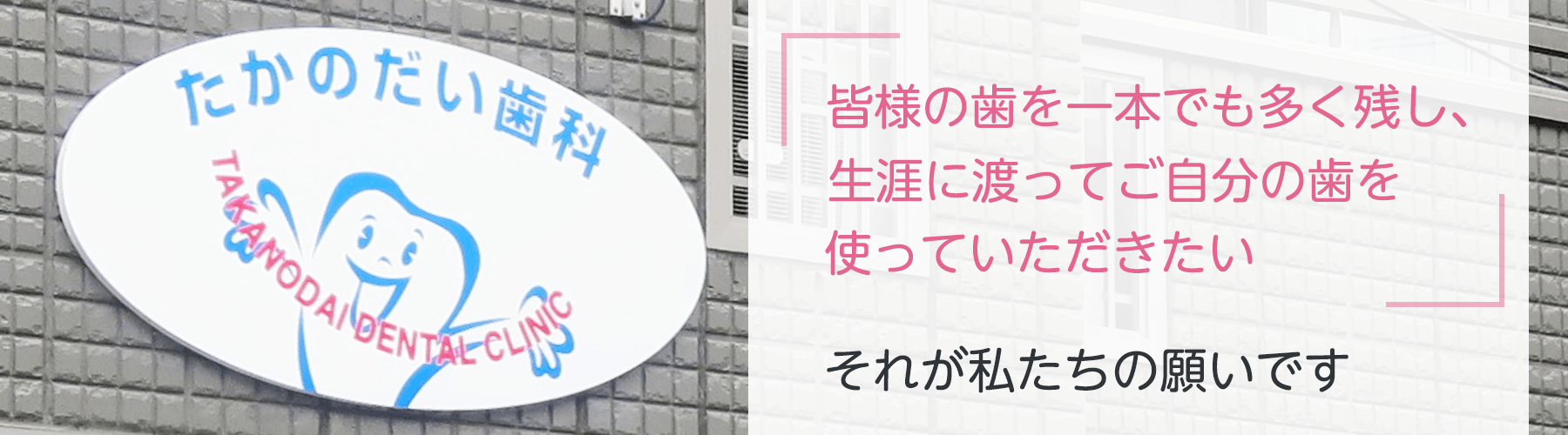 トップバナー01