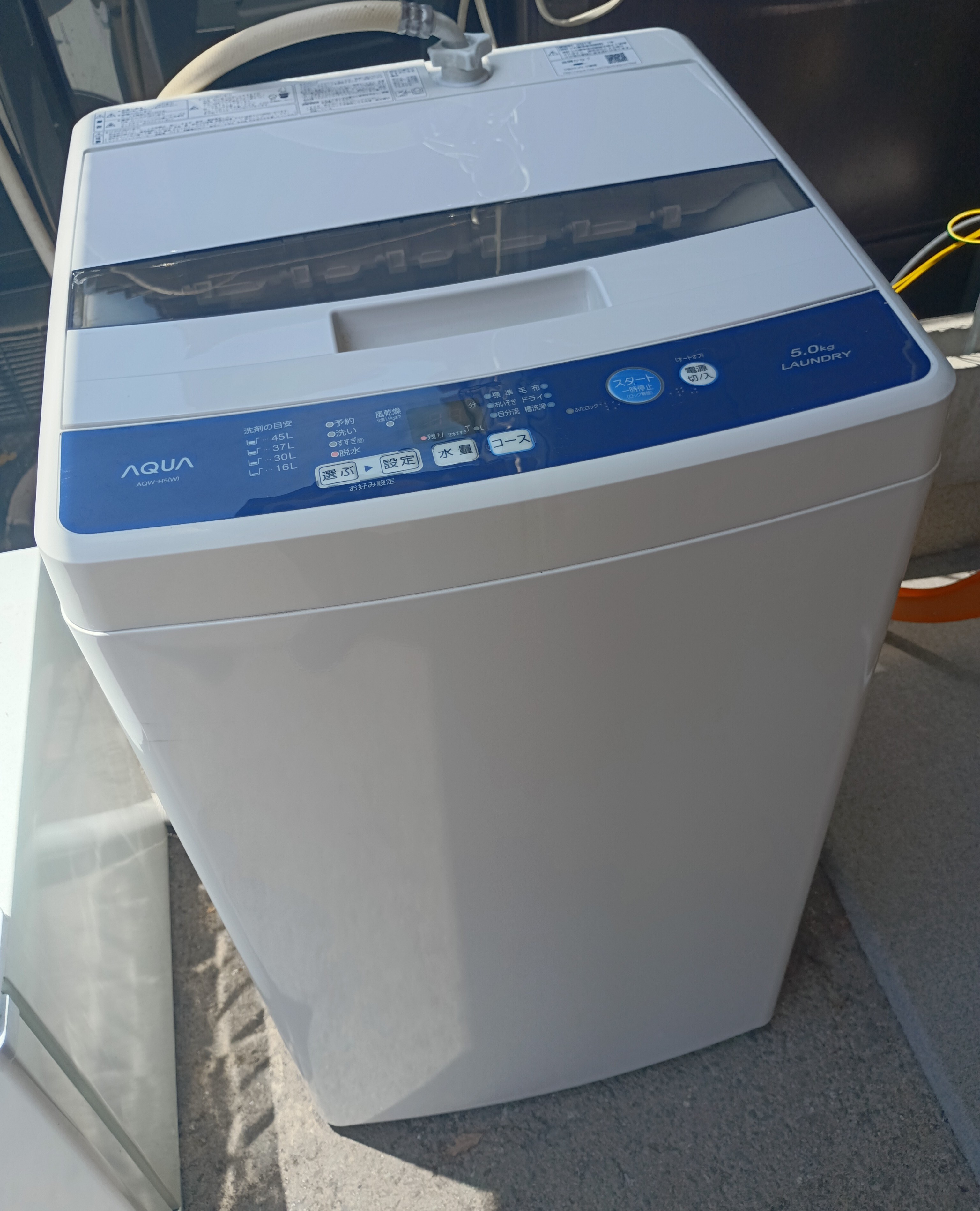 IMG_20250527_112944 (1)