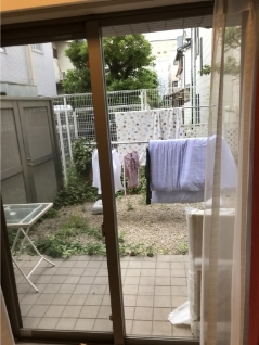 0000560253.jpg