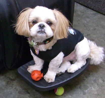 キンce8e02ef0f0f5a81013d68e32921418d