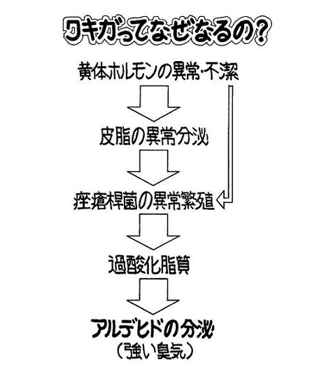 1番93a04fe4823b824947d8066033ffb54e