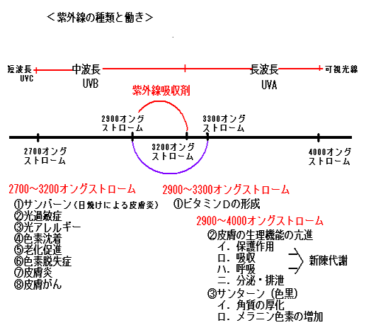 78117d311b0dc5d41ed9ff91331732cd-1