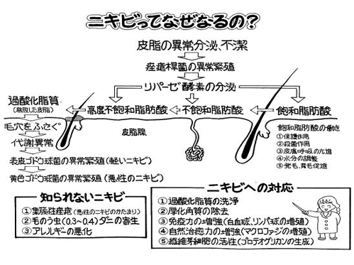 1番6d36345766c6f7bc2f19f8485d063238-1