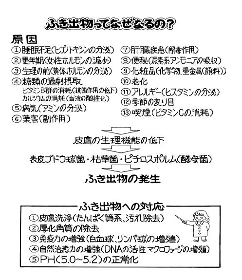 2番32de08e6a71f41f928dd57828422e5b0-2