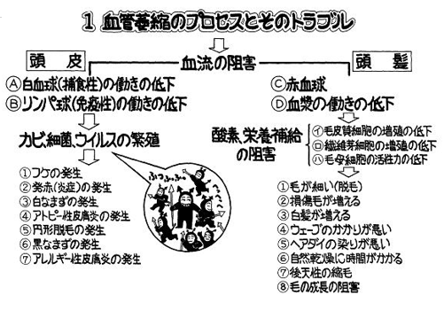 2番60990e6baa118a6f3324e9991e94110f