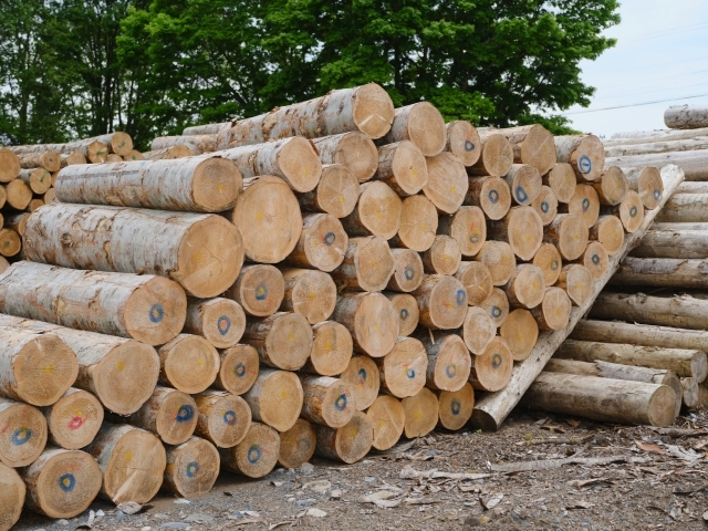 木材販売