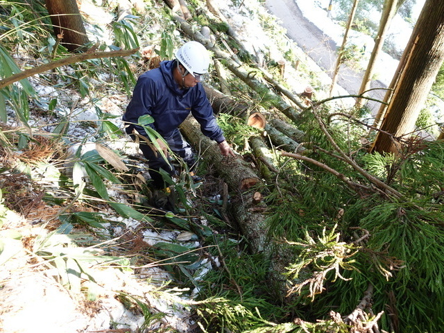 森林組合の仕事