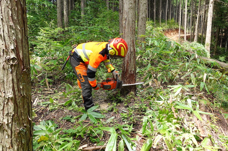 フォレストワーカー:中能登森林組合
